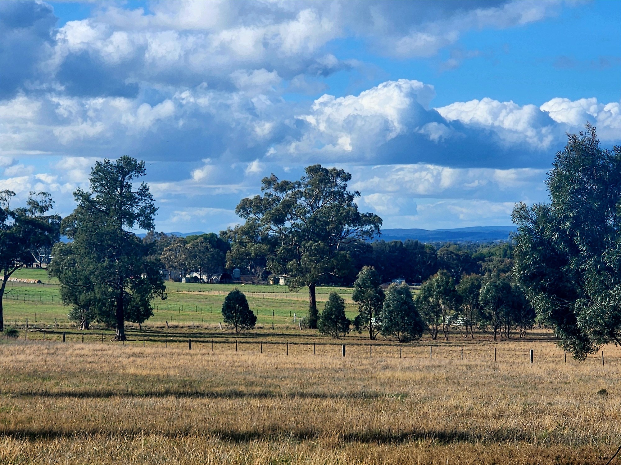 91 Aitken Lane, Parkes For Sale by Farmbuy.com - image 3