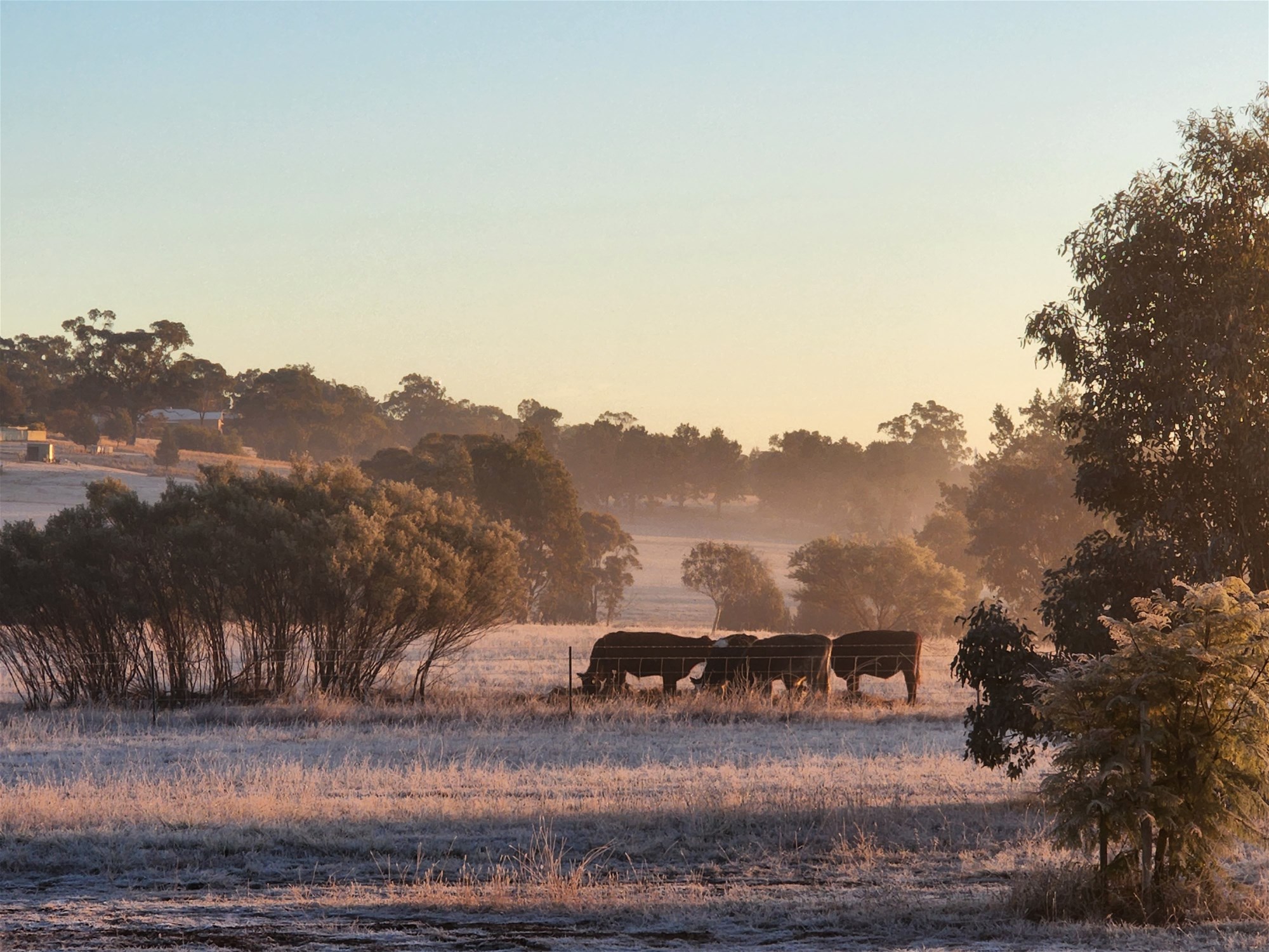 91 Aitken Lane, Parkes For Sale by Farmbuy.com - image 9
