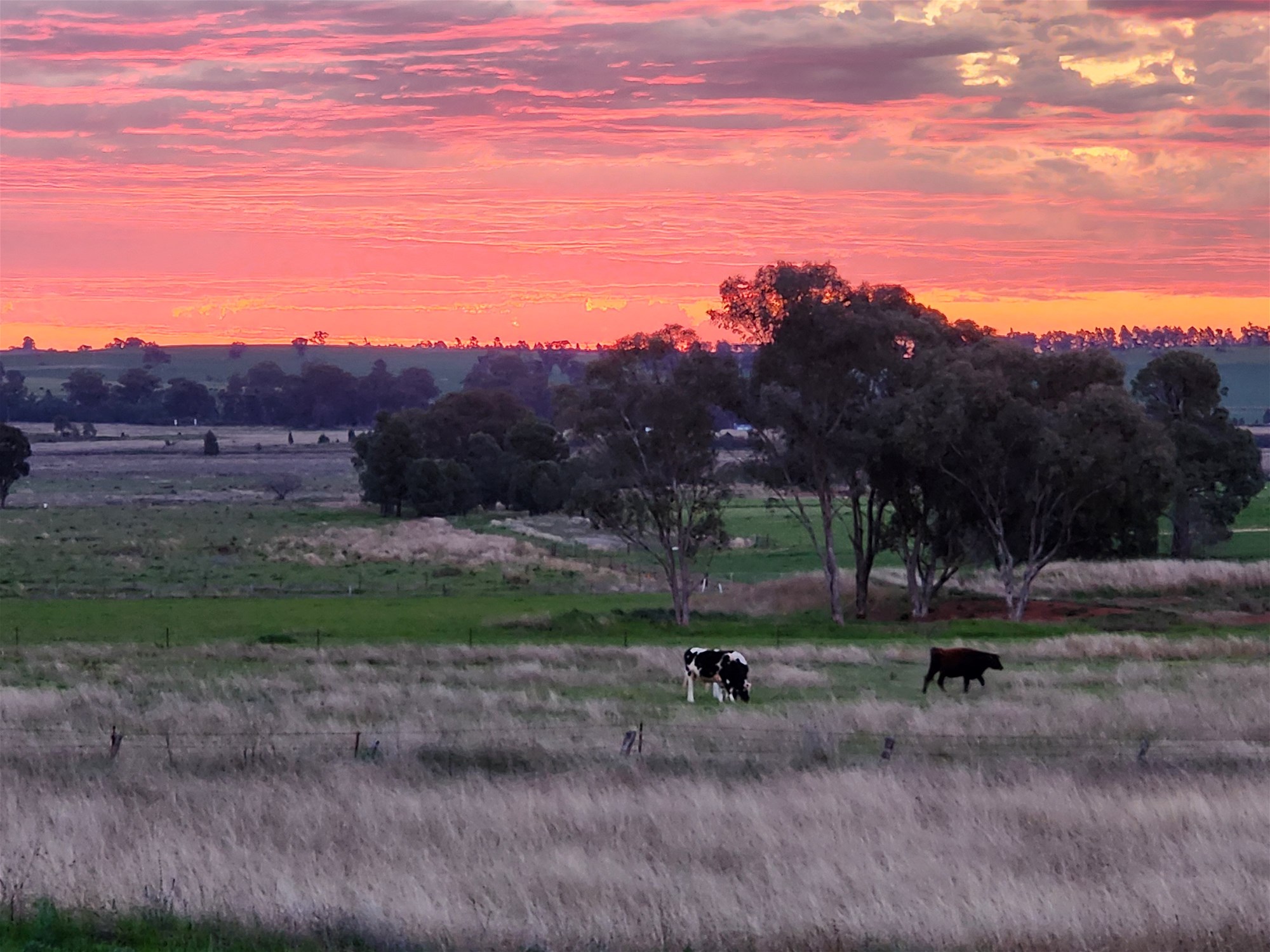 91 Aitken Lane, Parkes For Sale by Farmbuy.com - image 13