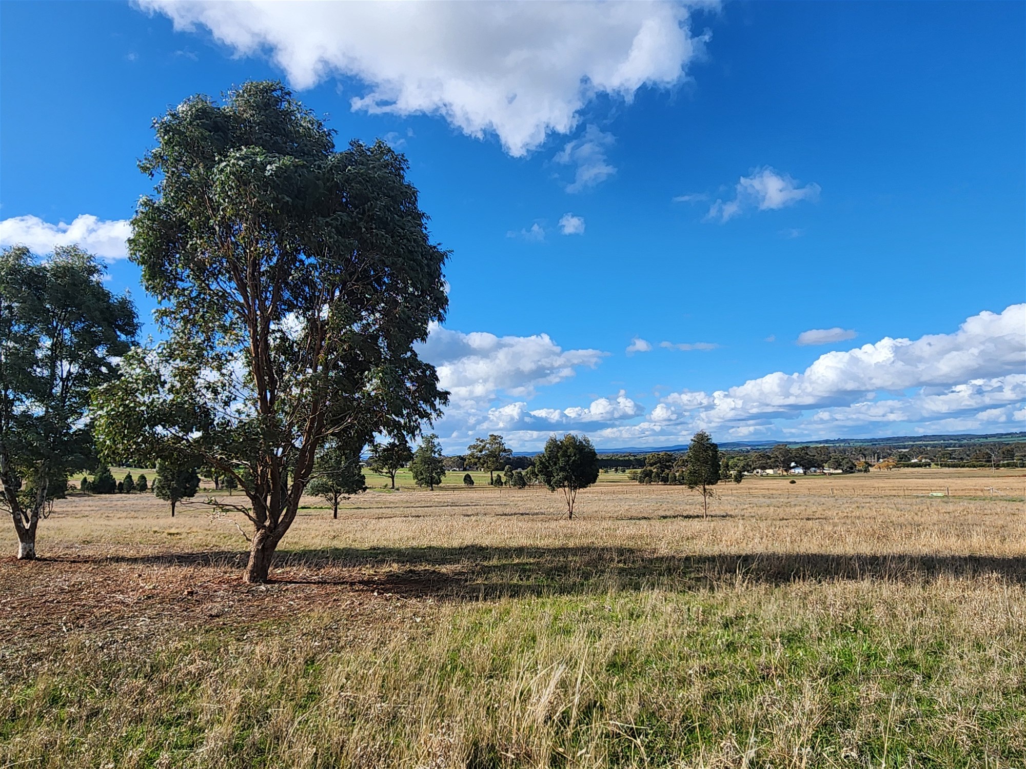 91 Aitken Lane, Parkes For Sale by Farmbuy.com - image 17