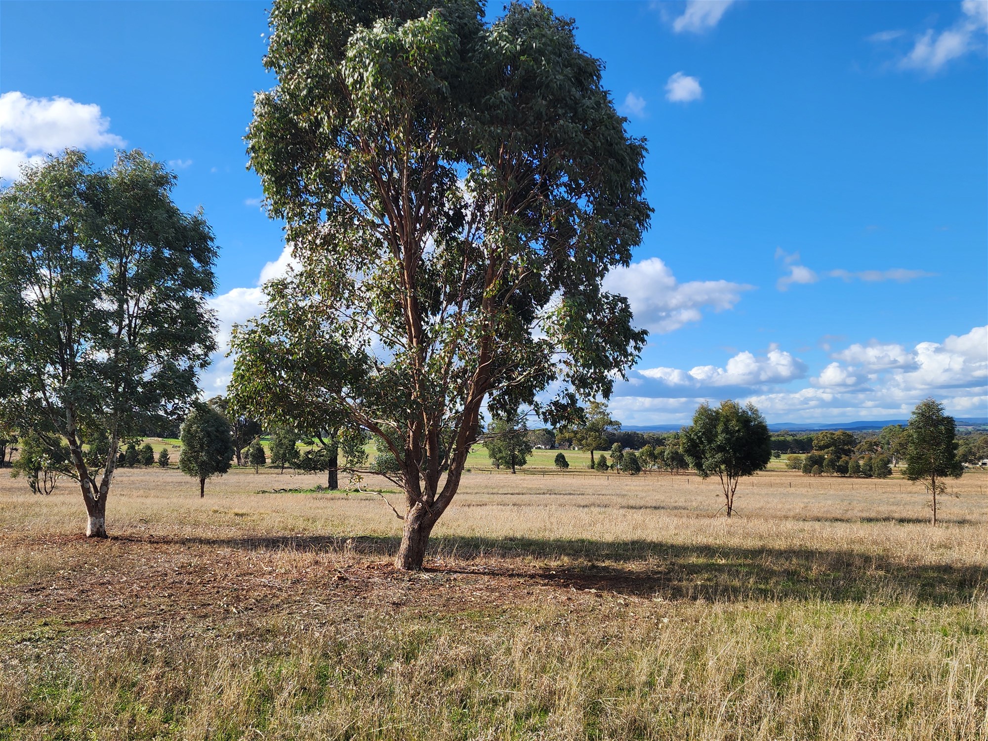 91 Aitken Lane, Parkes For Sale by Farmbuy.com - image 19