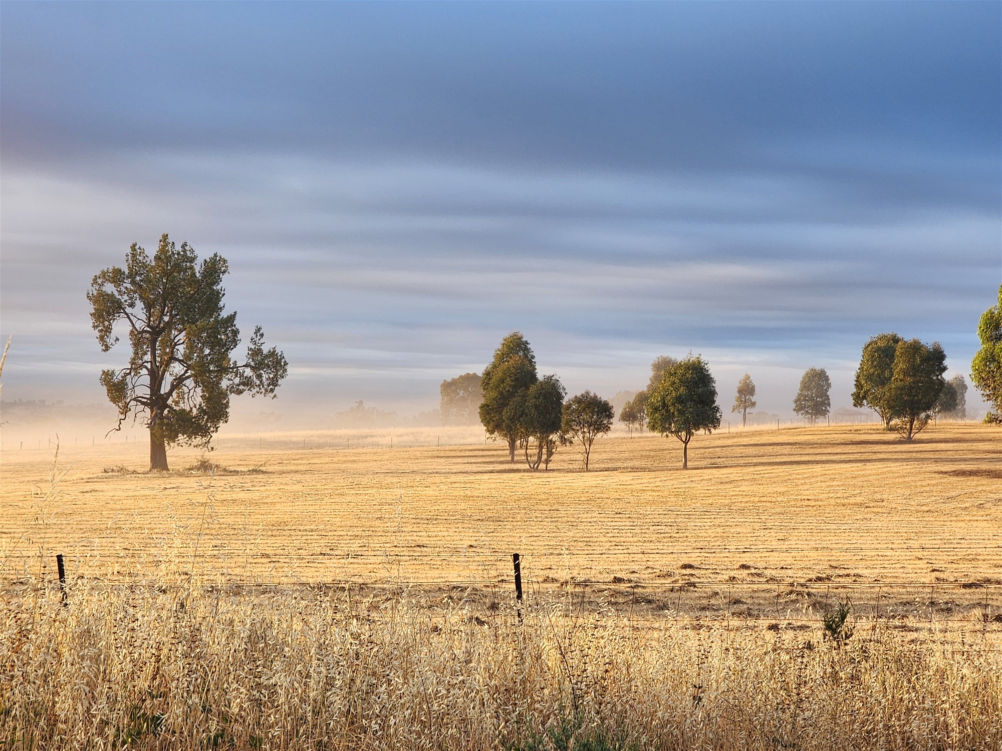 91 Aitken Lane, Parkes For Sale by Farmbuy.com - image 22