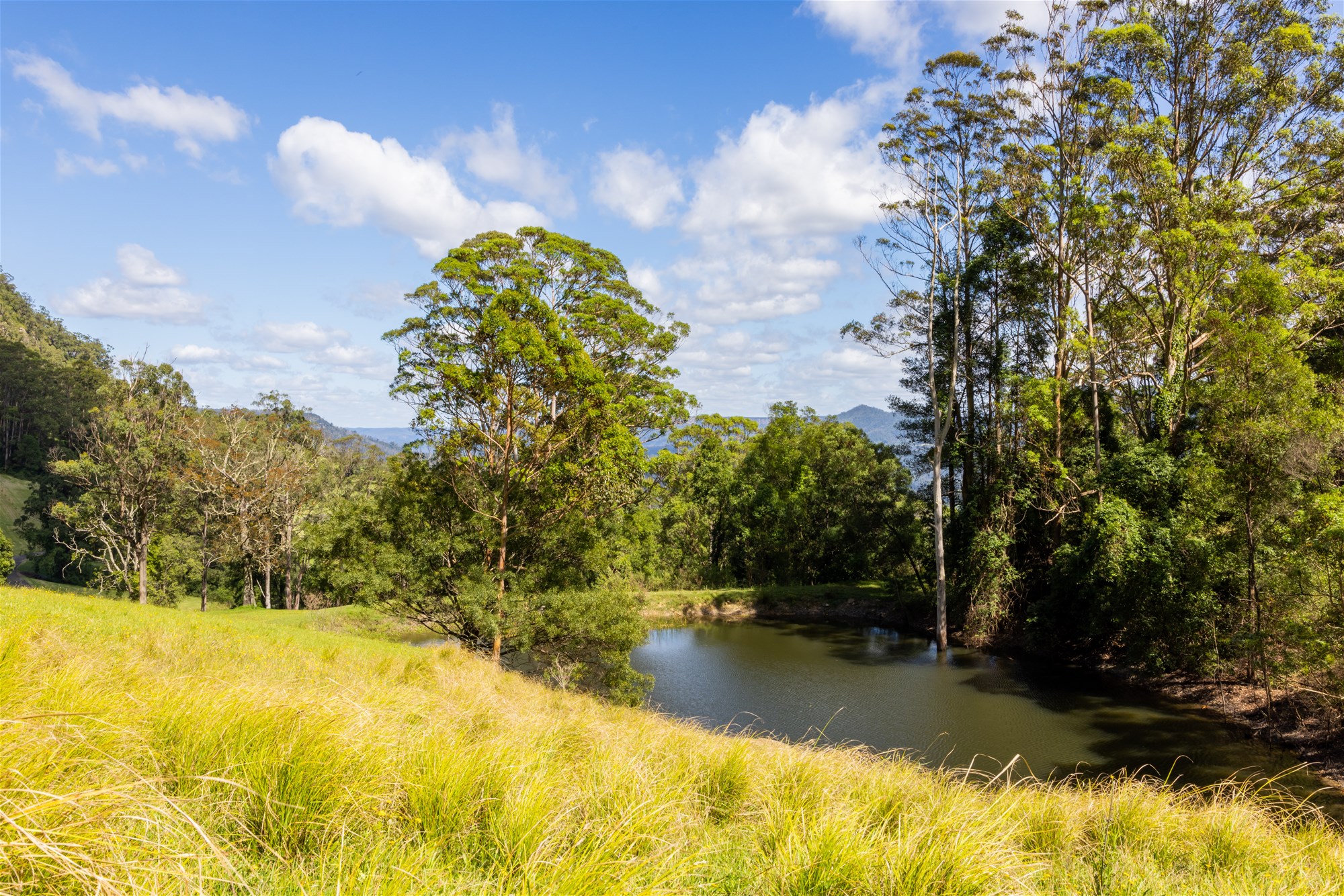 65d Marden Lane, Kangaroo Valley For Sale by Farmbuy.com - image 25