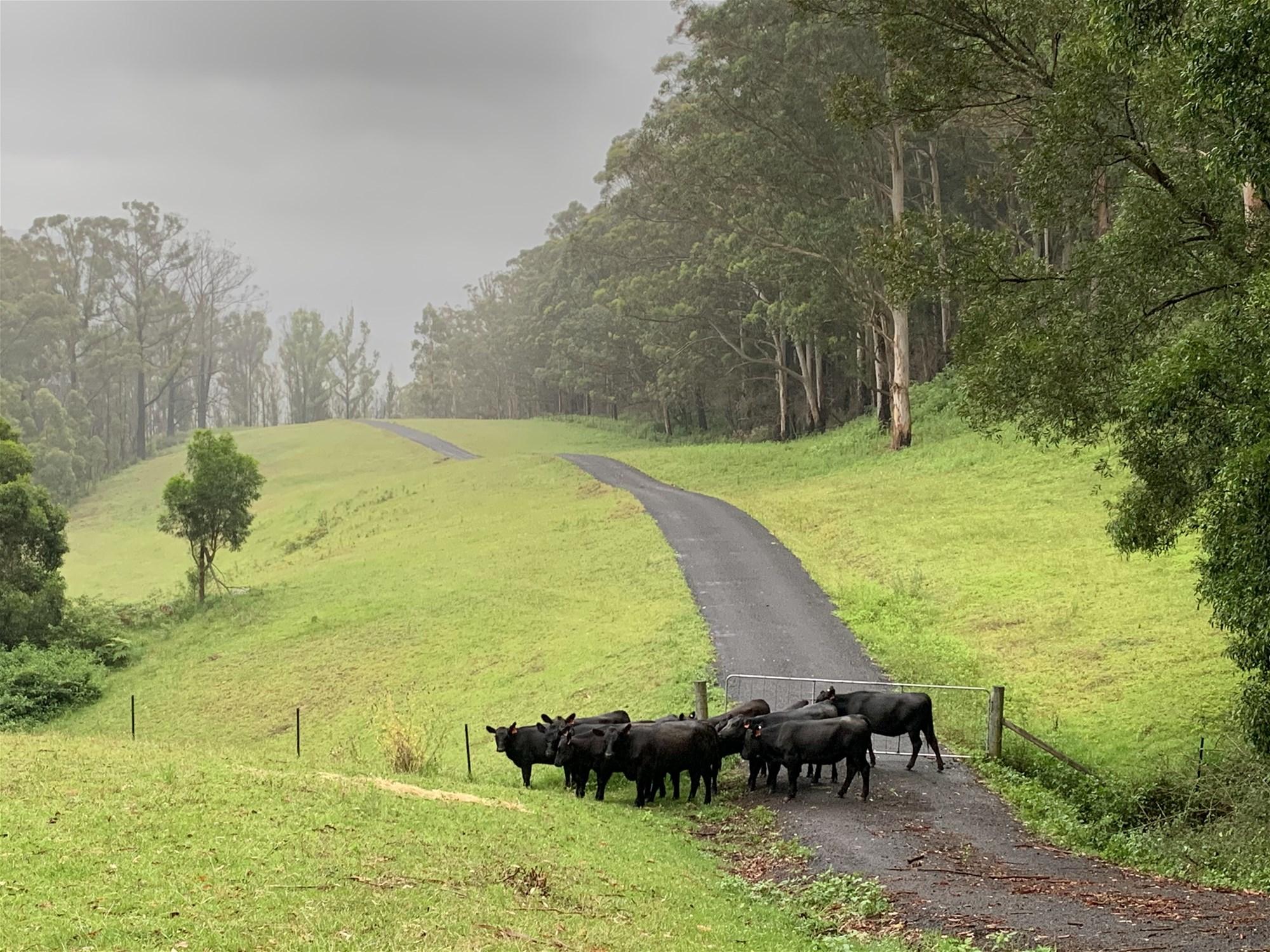 65d Marden Lane, Kangaroo Valley For Sale by Farmbuy.com - image 32