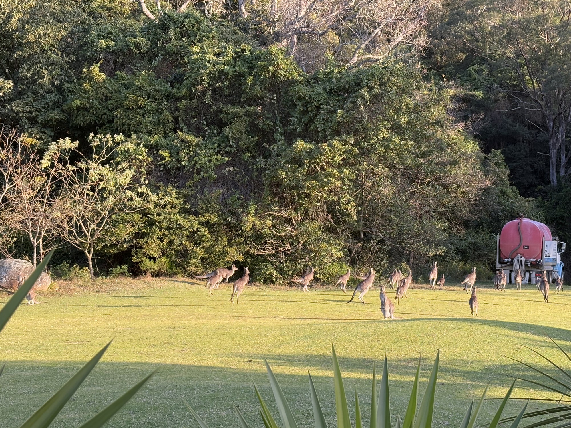 65b Marden Lane, Kangaroo Valley For Sale by Farmbuy.com - image 15