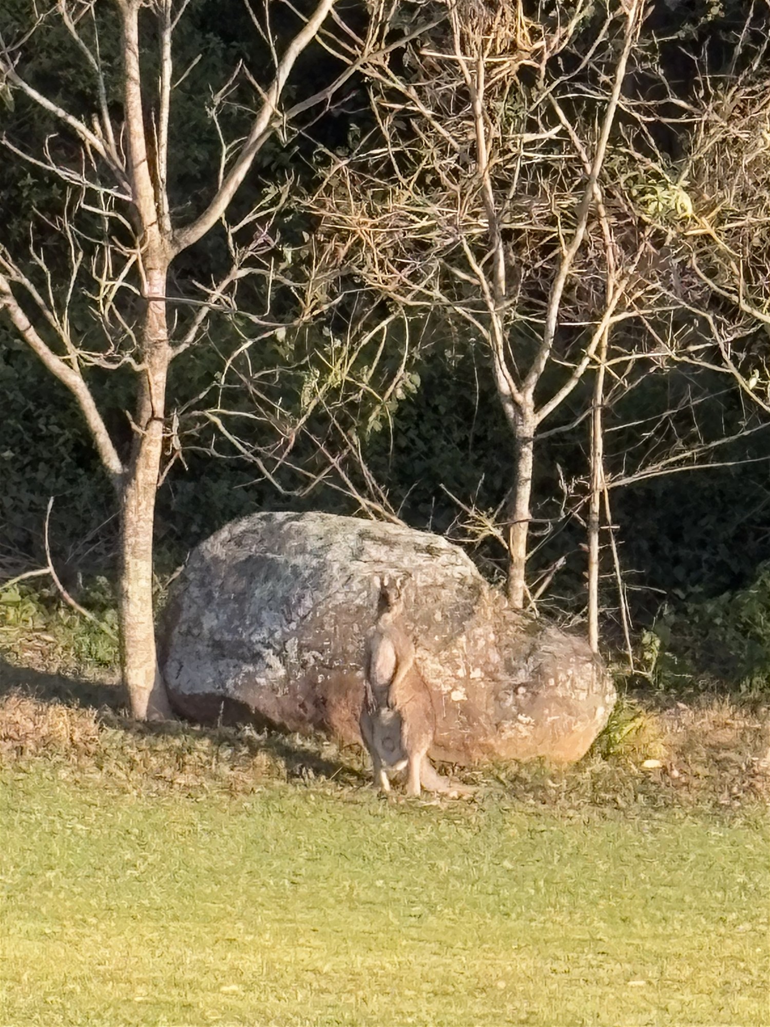 65b Marden Lane, Kangaroo Valley For Sale by Farmbuy.com - image 20