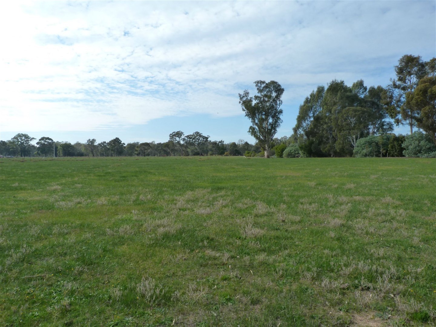 144 Kealy Road, Benalla For Sale by Farmbuy.com - image 23