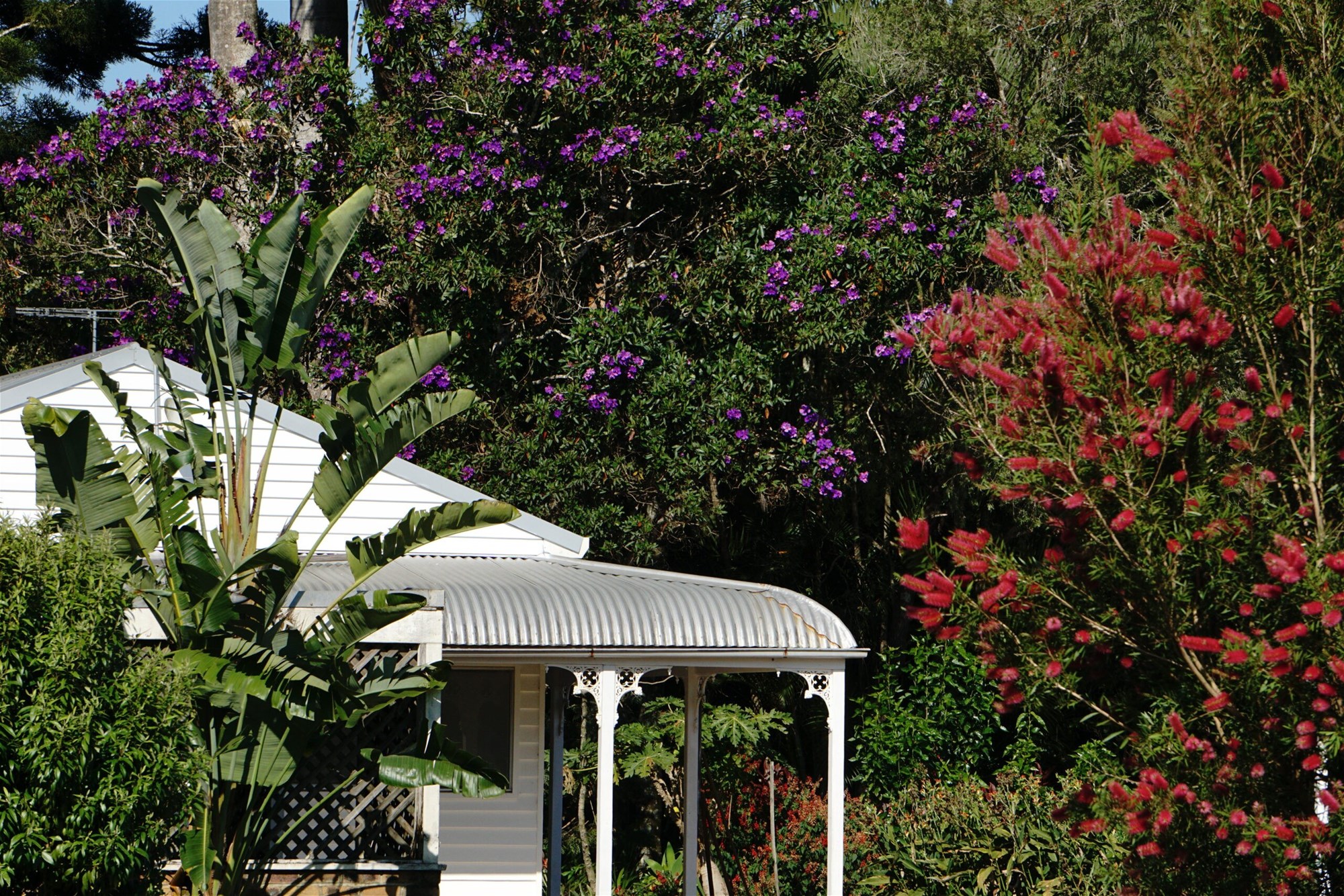 Lot 2/149 Federal Drive, Eureka For Sale by Farmbuy.com - image 4