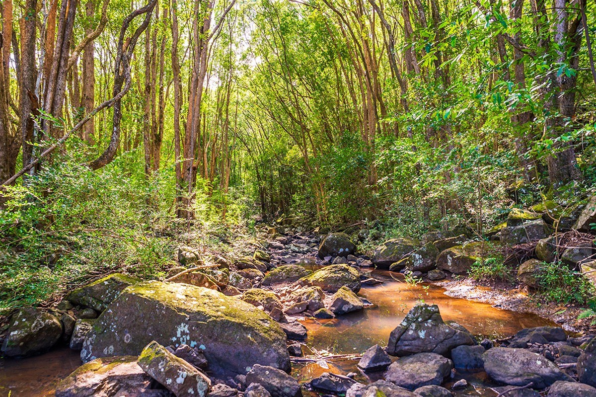 Lot 2/149 Federal Drive, Eureka For Sale by Farmbuy.com - image 5