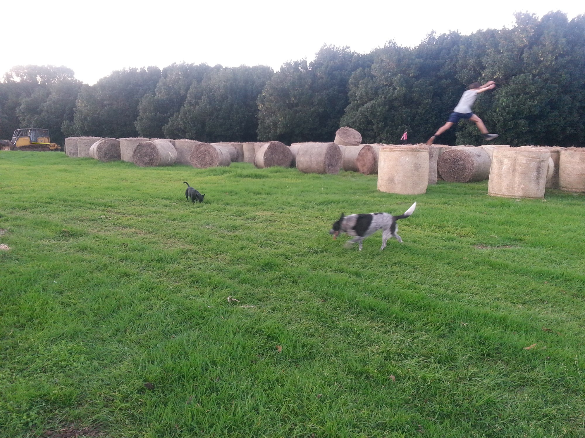 Lot 2/149 Federal Drive, Eureka For Sale by Farmbuy.com - image 6