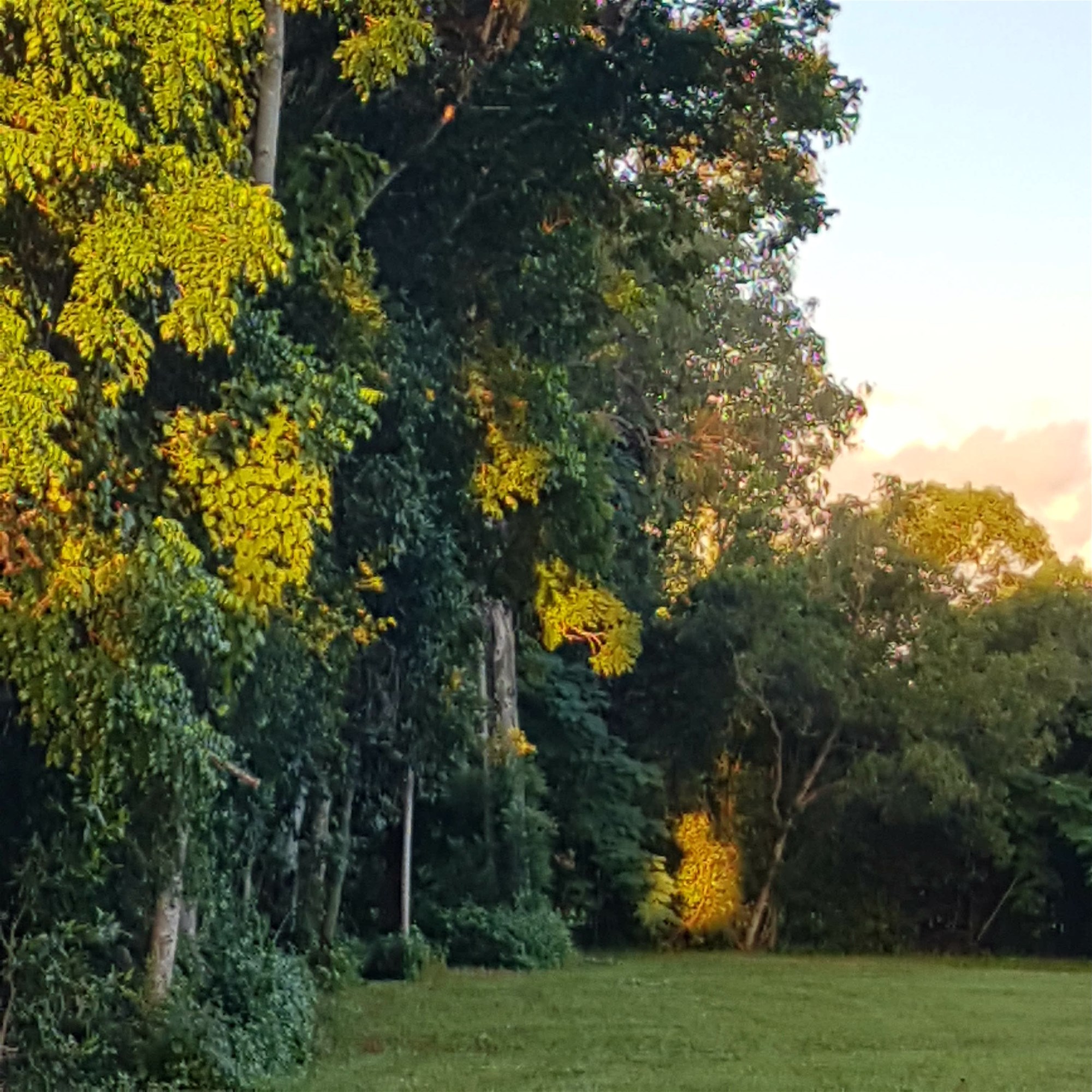 29 Railway Avenue, Cooktown For Sale by Farmbuy.com - image 2