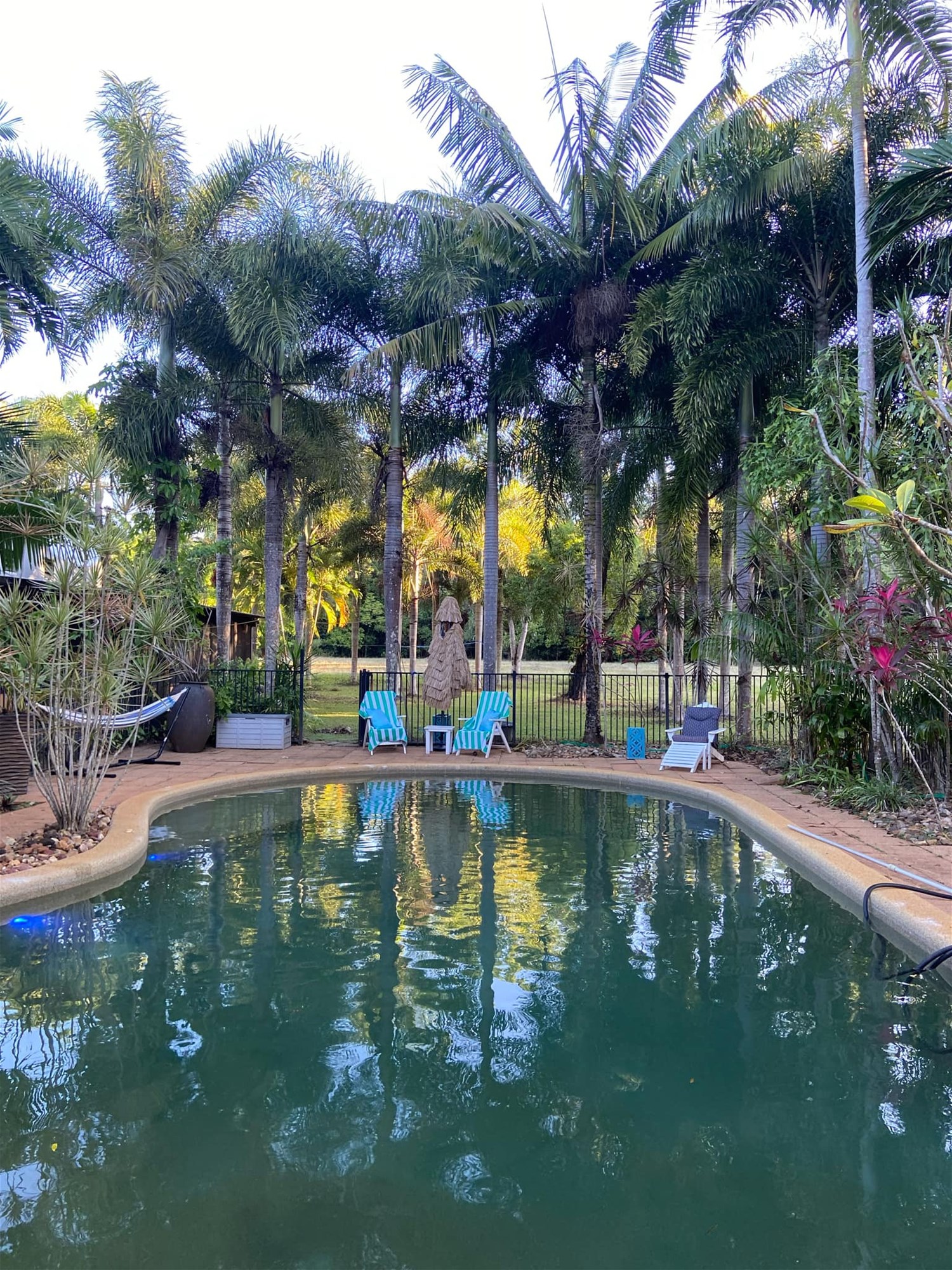 29 Railway Avenue, Cooktown For Sale by Farmbuy.com - image 4