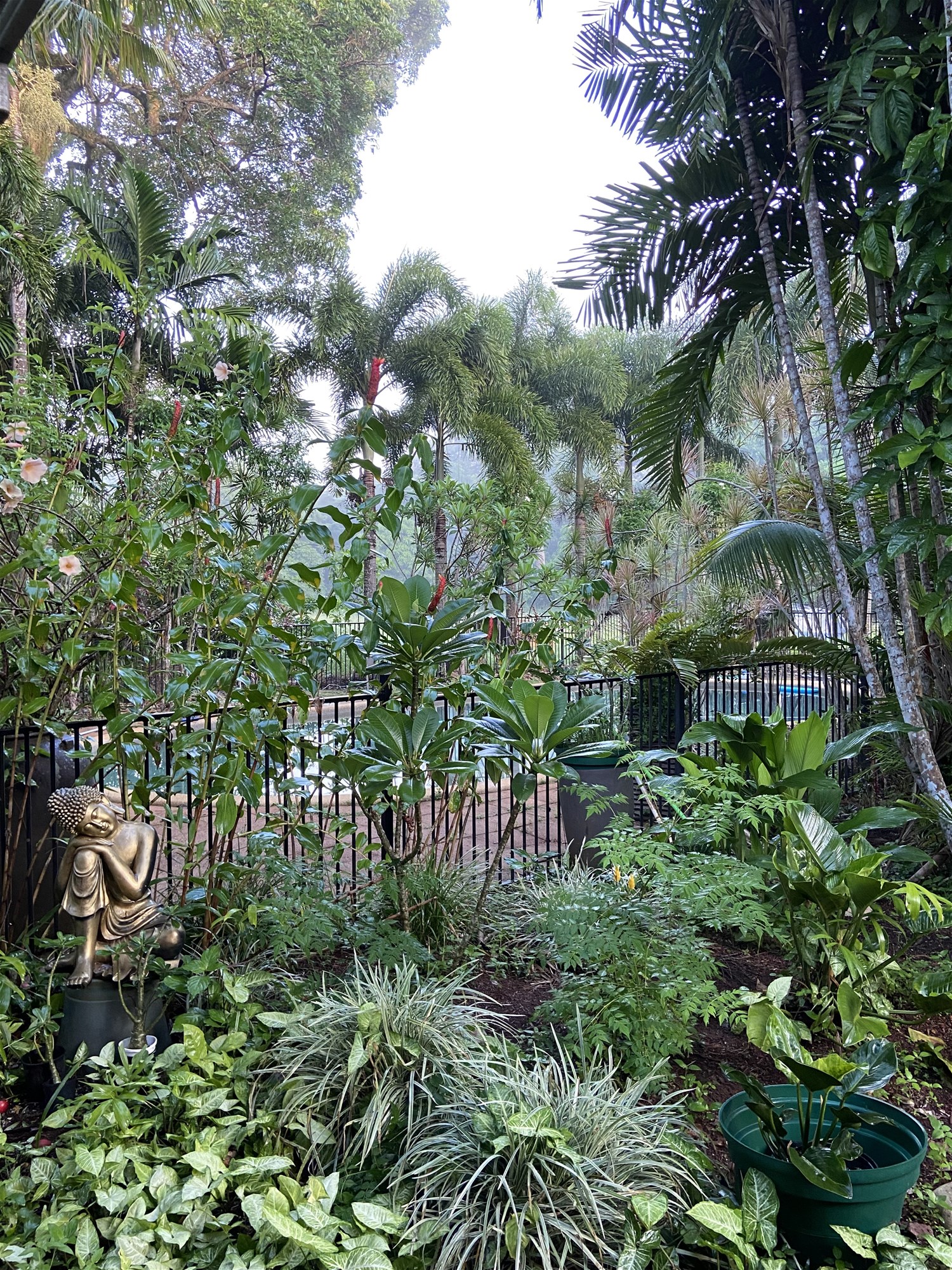 29 Railway Avenue, Cooktown For Sale by Farmbuy.com - image 6