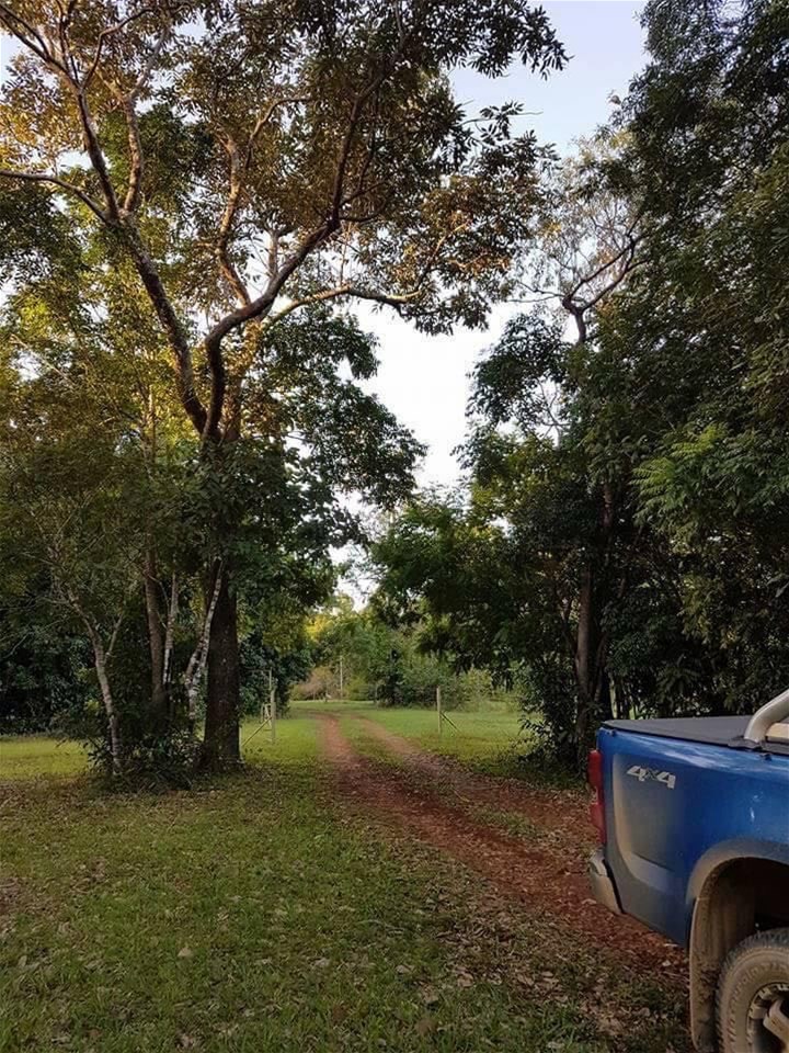 29 Railway Avenue, Cooktown For Sale by Farmbuy.com - image 10