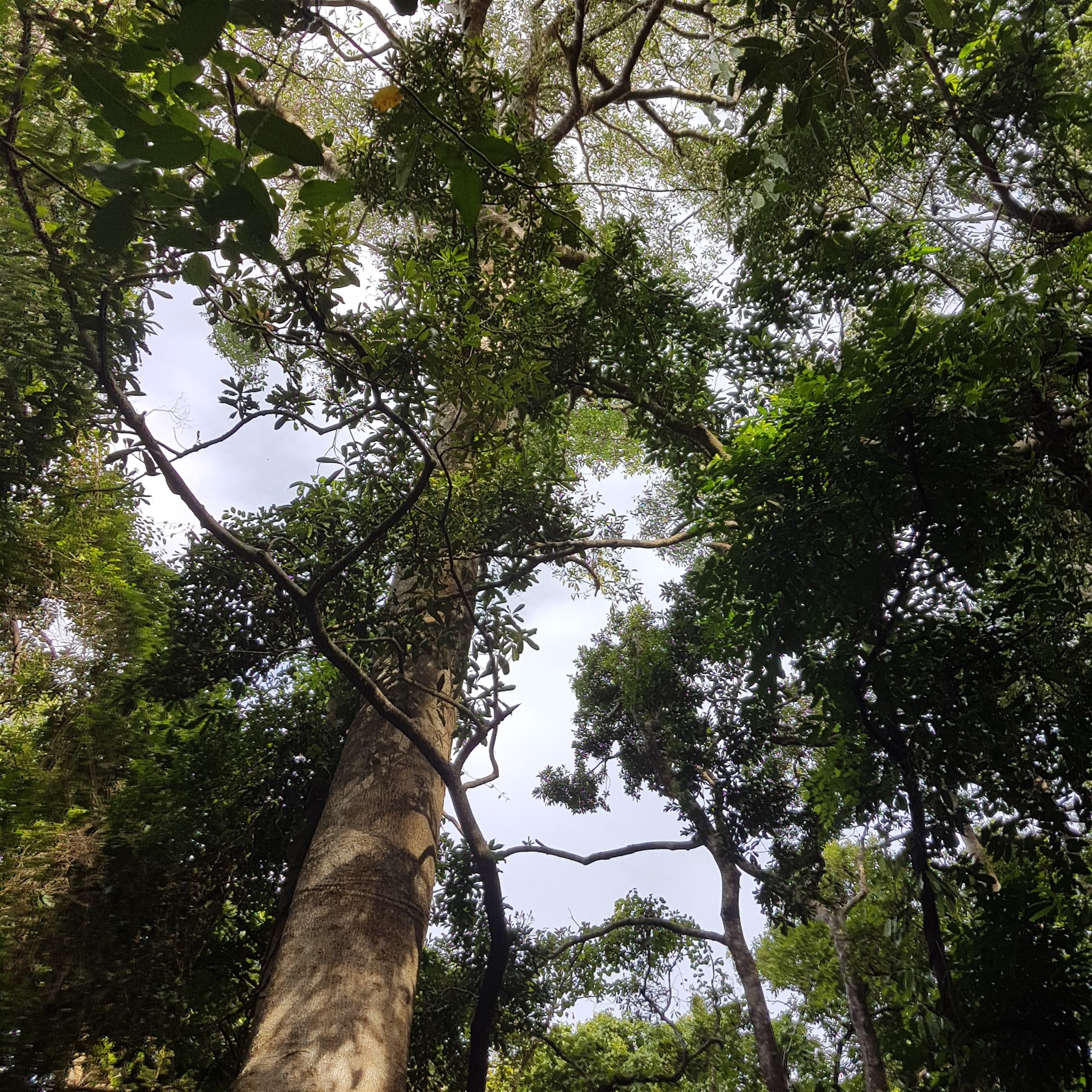 29 Railway Avenue, Cooktown For Sale by Farmbuy.com - image 22