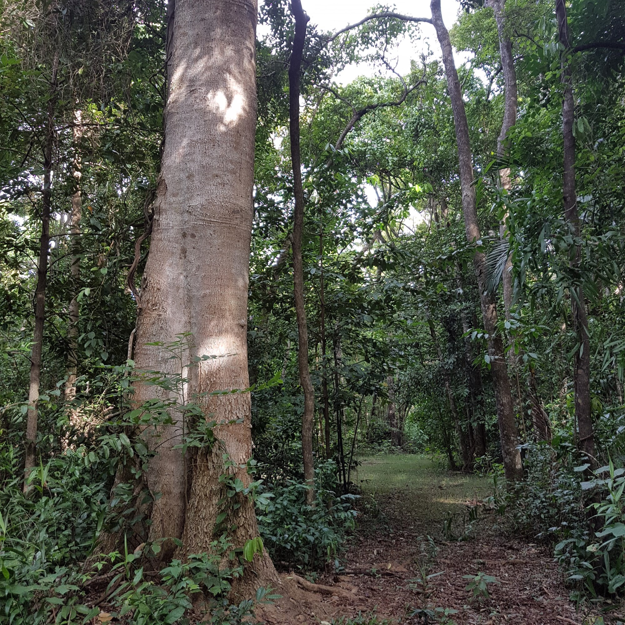 29 Railway Avenue, Cooktown For Sale by Farmbuy.com - image 23