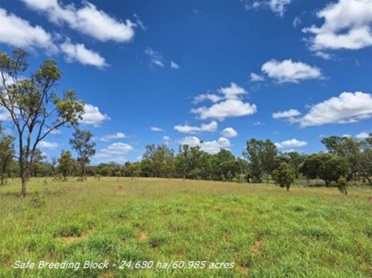 6743 Dunrobin Road, Jericho QLD 4728