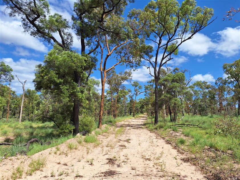 6743 Dunrobin Road, Jericho For Sale by Farmbuy.com - image 18