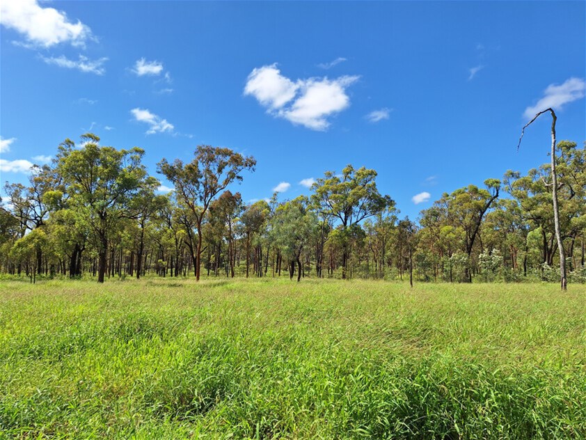 6743 Dunrobin Road, Jericho For Sale by Farmbuy.com - image 19