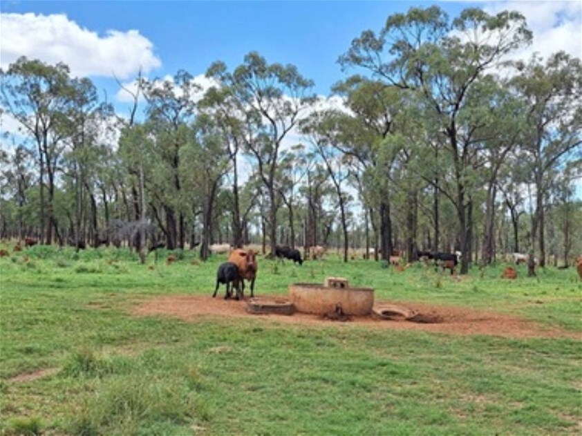 6743 Dunrobin Road, Jericho For Sale by Farmbuy.com - image 25