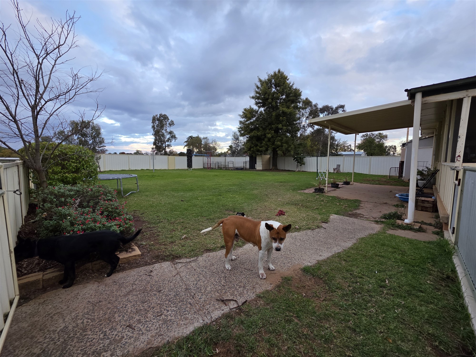 50 Dallas Street, Yanco For Sale by Farmbuy.com - image 21