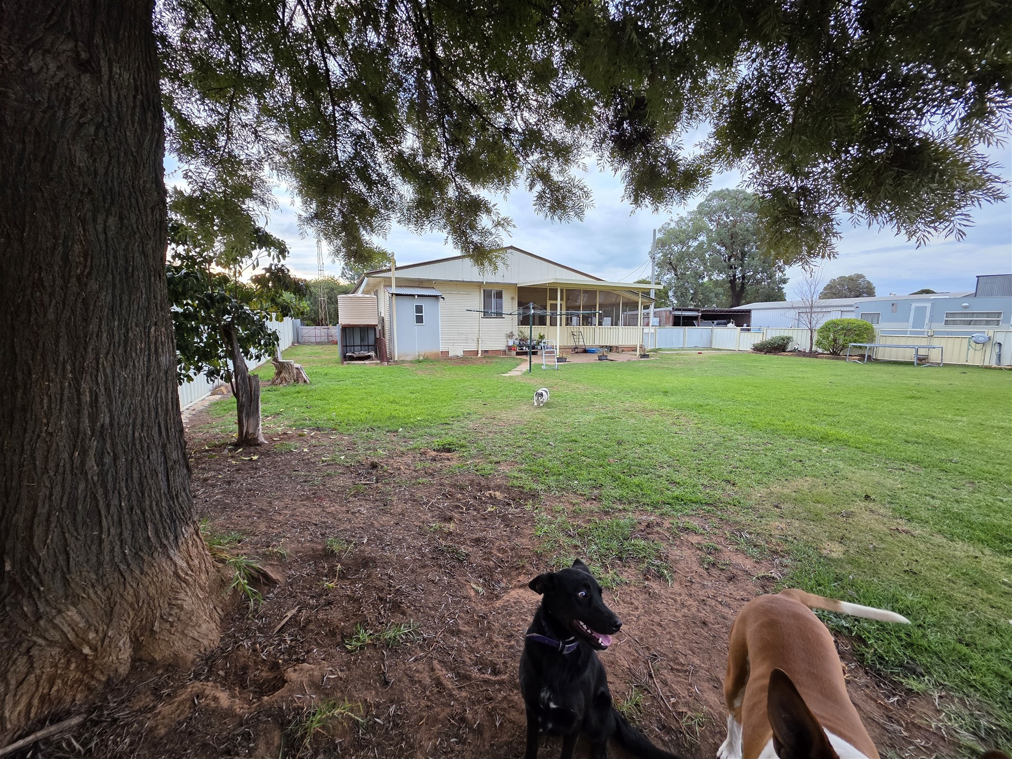 50 Dallas Street, Yanco For Sale by Farmbuy.com - image 22