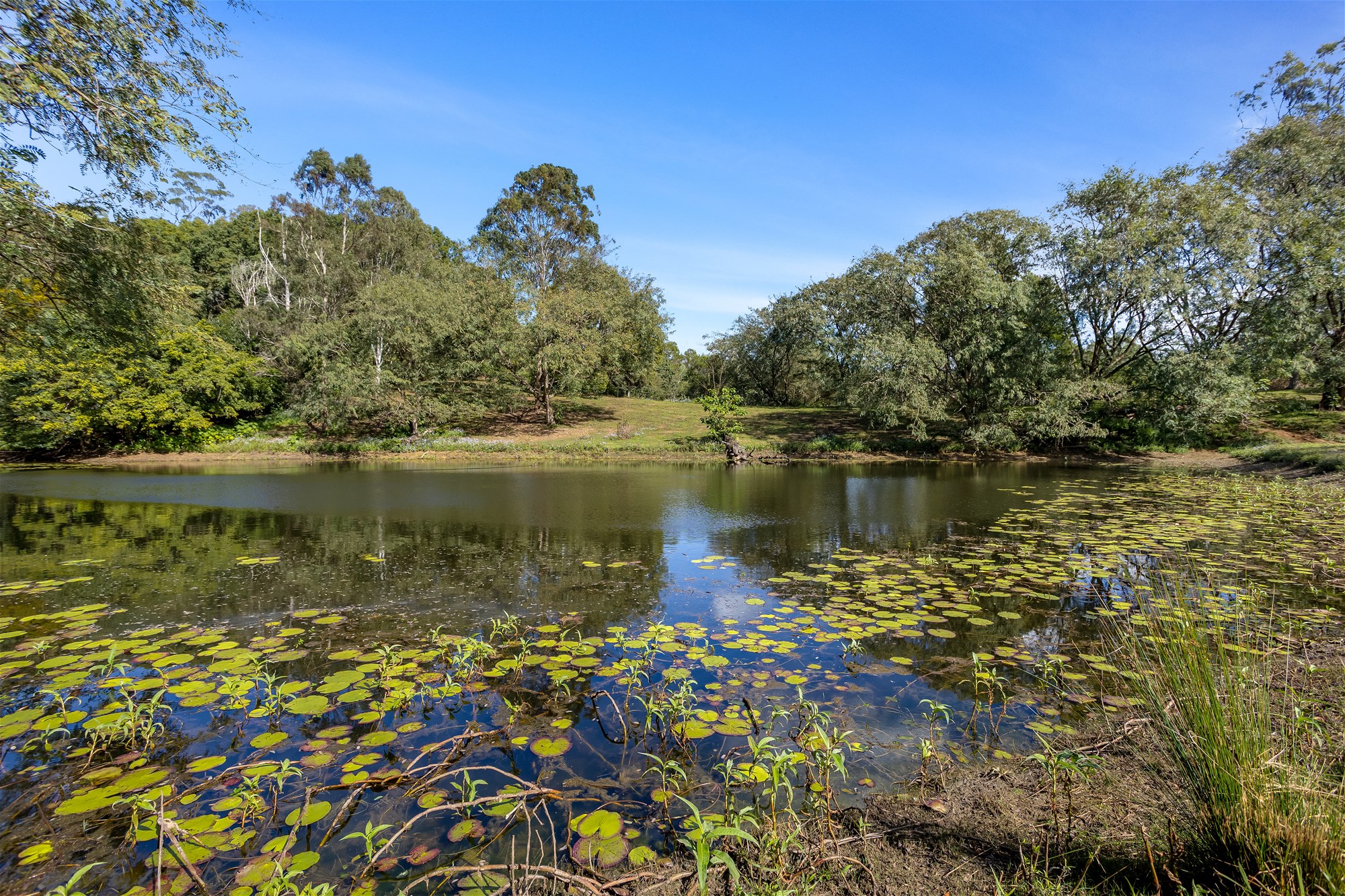 855 Campbells Pocket Road, Campbells Pocket For Sale by Farmbuy.com - image 17