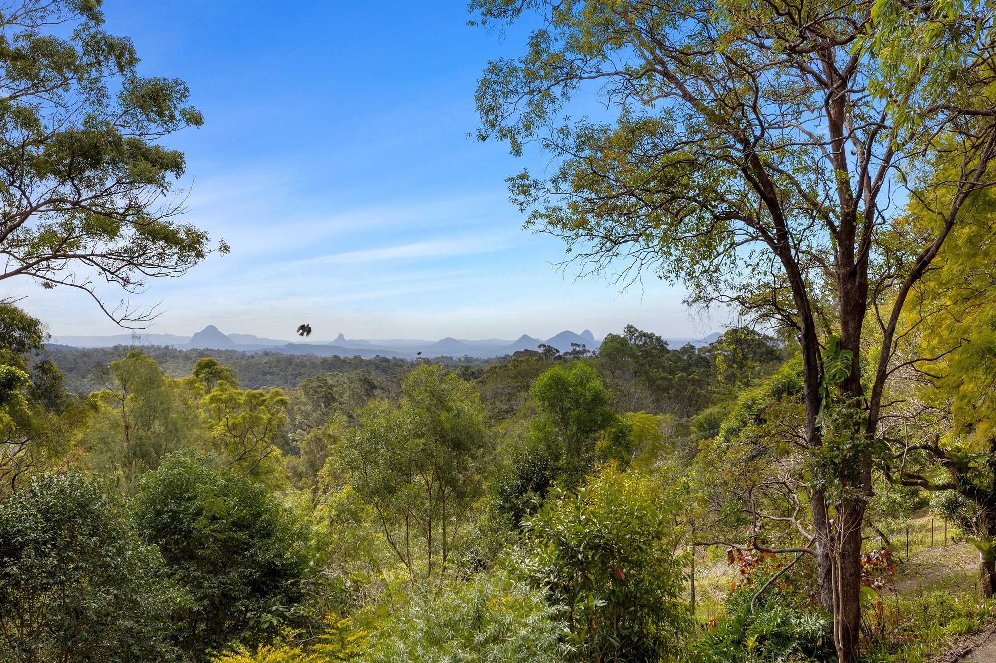 855 Campbells Pocket Road, Campbells Pocket For Sale by Farmbuy.com - image 18