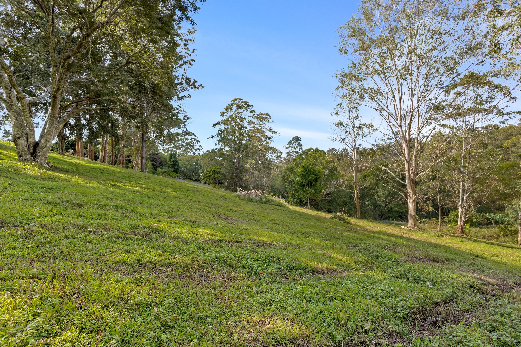 855 Campbells Pocket Road, Campbells Pocket For Sale by Farmbuy.com - image 20