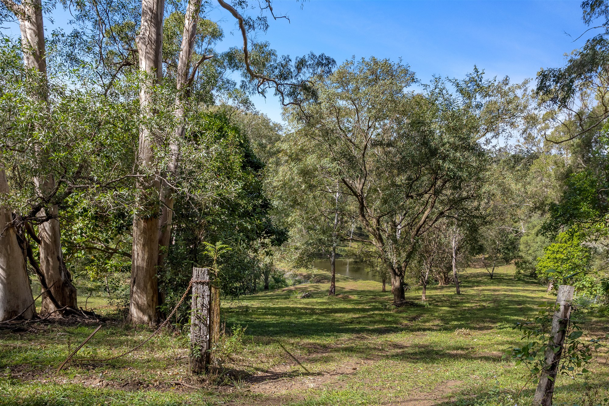 855 Campbells Pocket Road, Campbells Pocket For Sale by Farmbuy.com - image 21