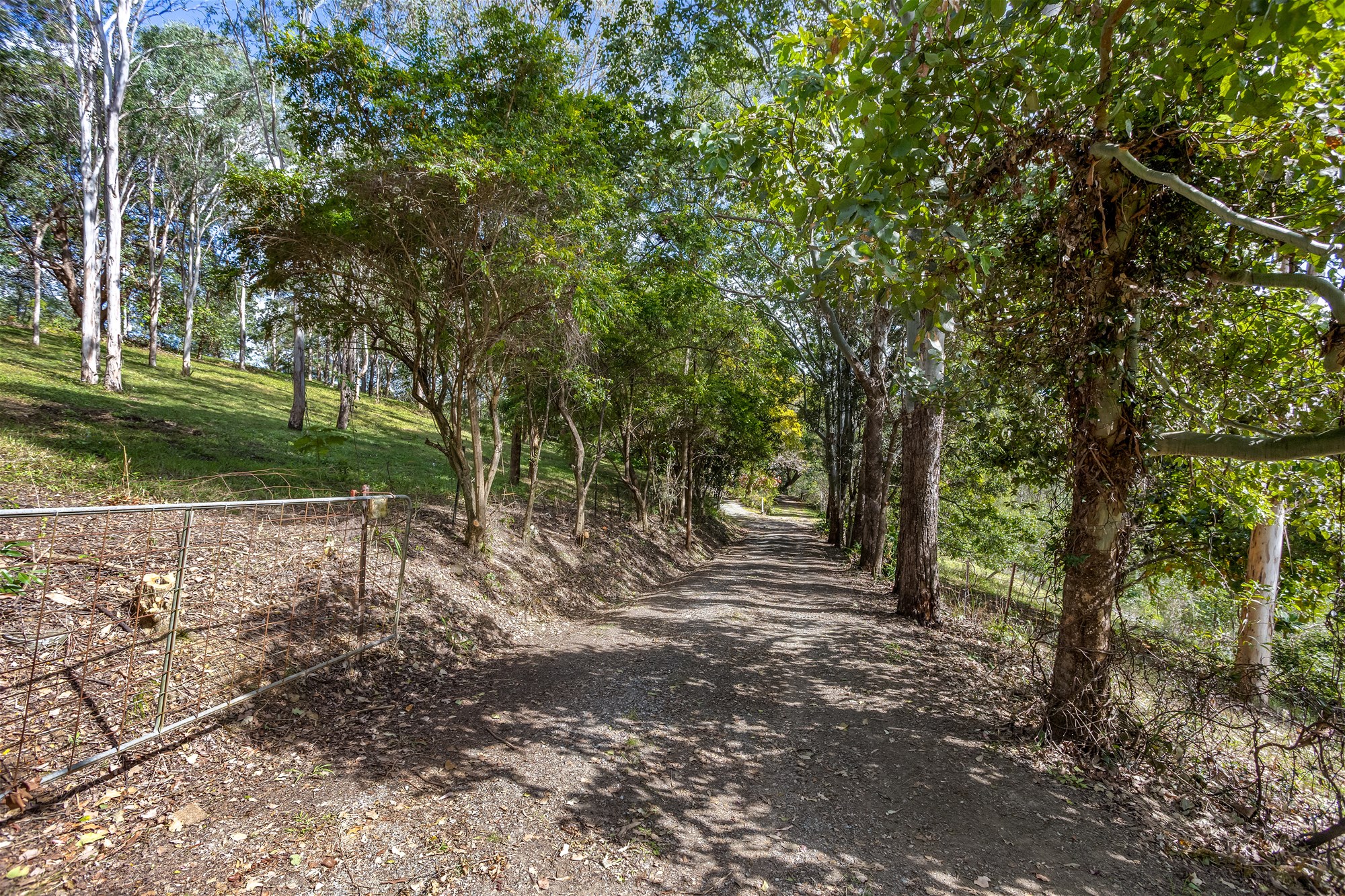 855 Campbells Pocket Road, Campbells Pocket For Sale by Farmbuy.com - image 22