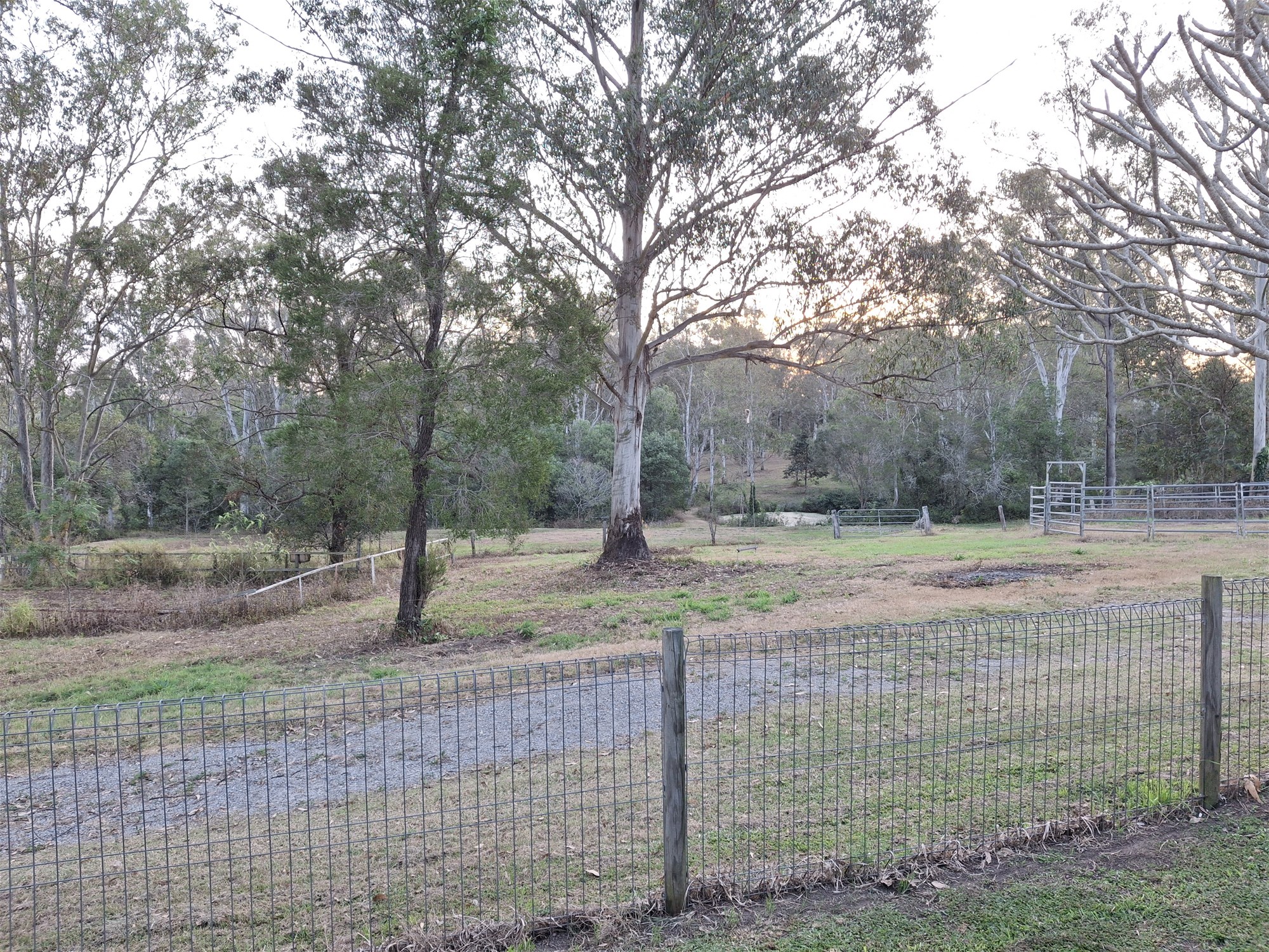 299 Begley Road, Greenbank For Sale by Farmbuy.com - image 7