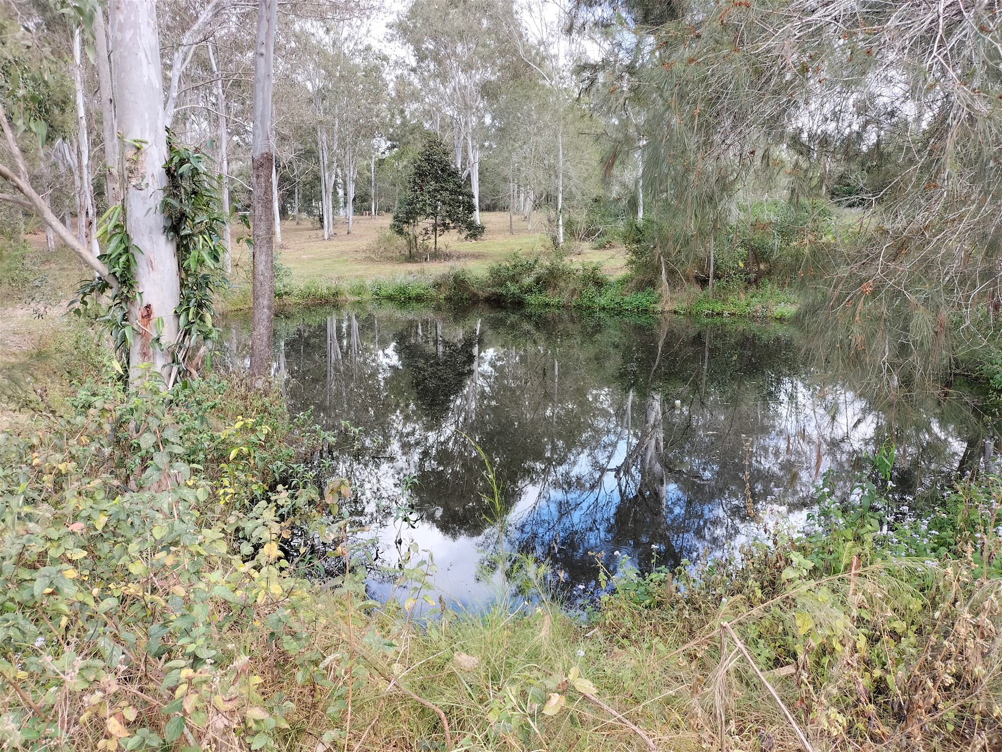 299 Begley Road, Greenbank For Sale by Farmbuy.com - image 10