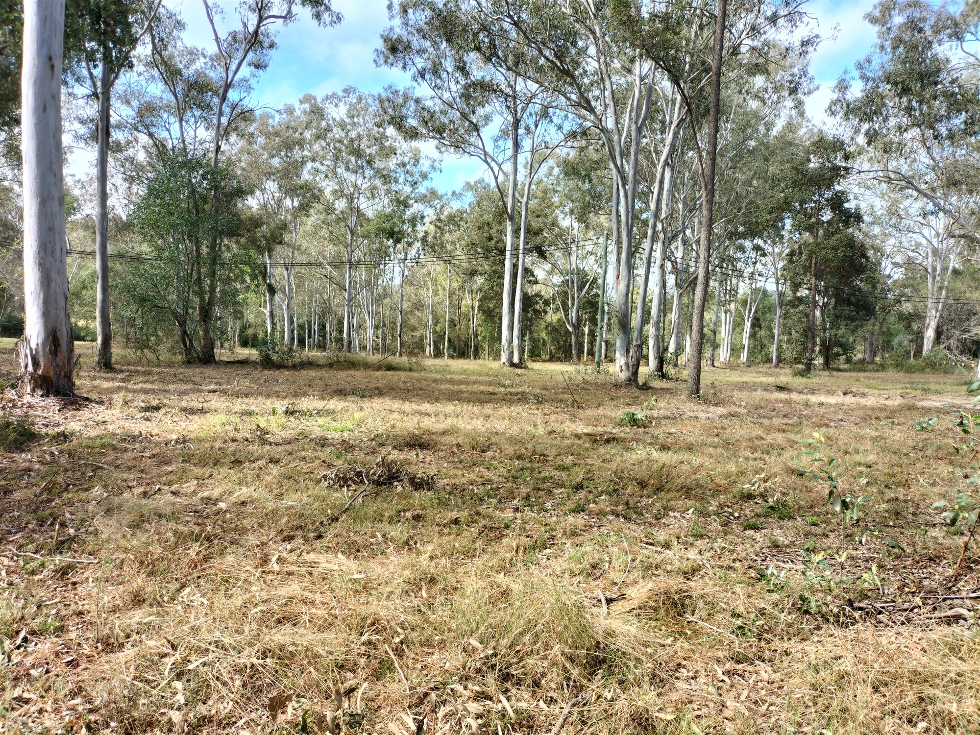 299 Begley Road, Greenbank For Sale by Farmbuy.com - image 23