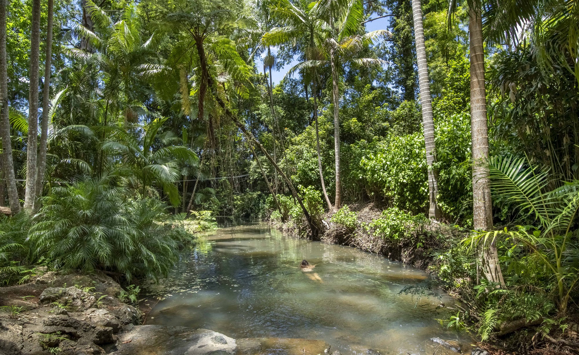 829 The Pocket Rd, The Pocket For Sale by Farmbuy.com - image 23