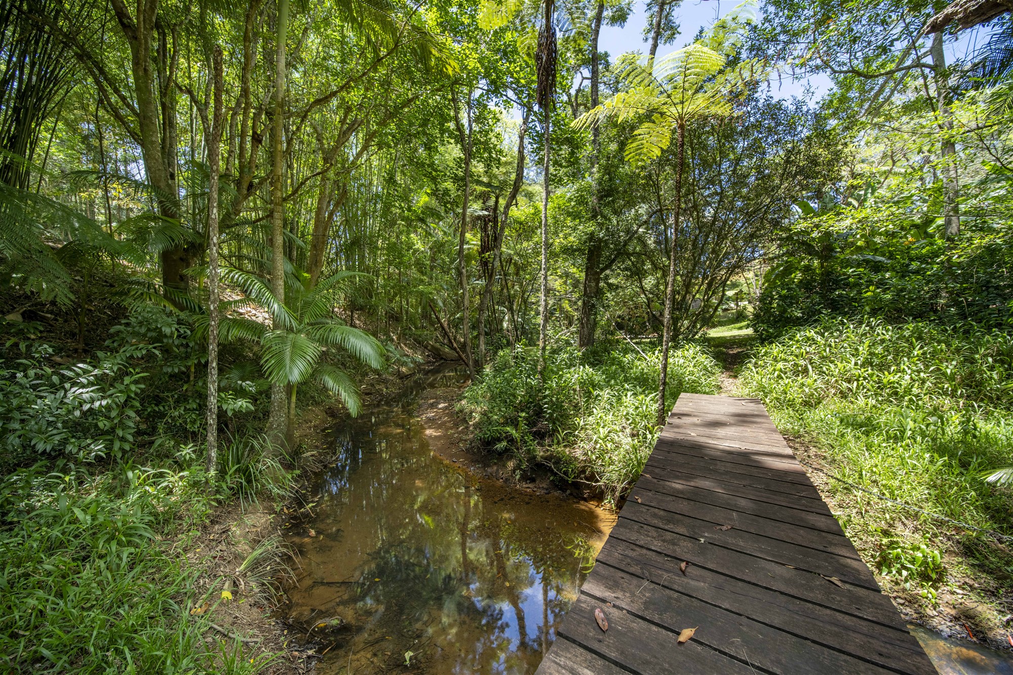 829 The Pocket Rd, The Pocket For Sale by Farmbuy.com - image 29