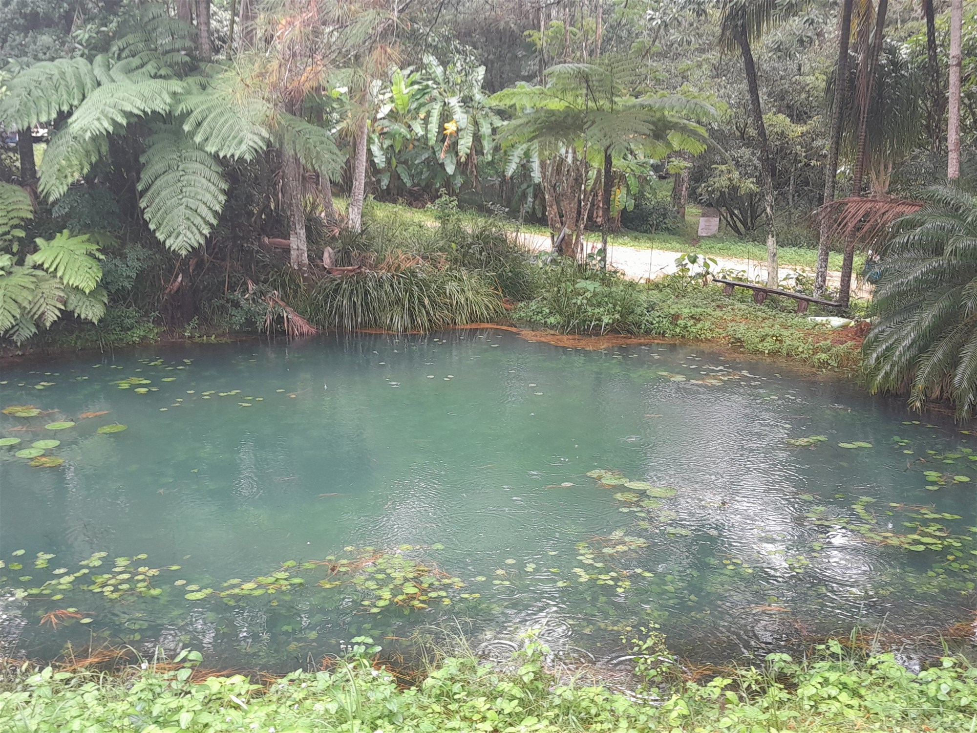 829 The Pocket Rd, The Pocket For Sale by Farmbuy.com - image 33