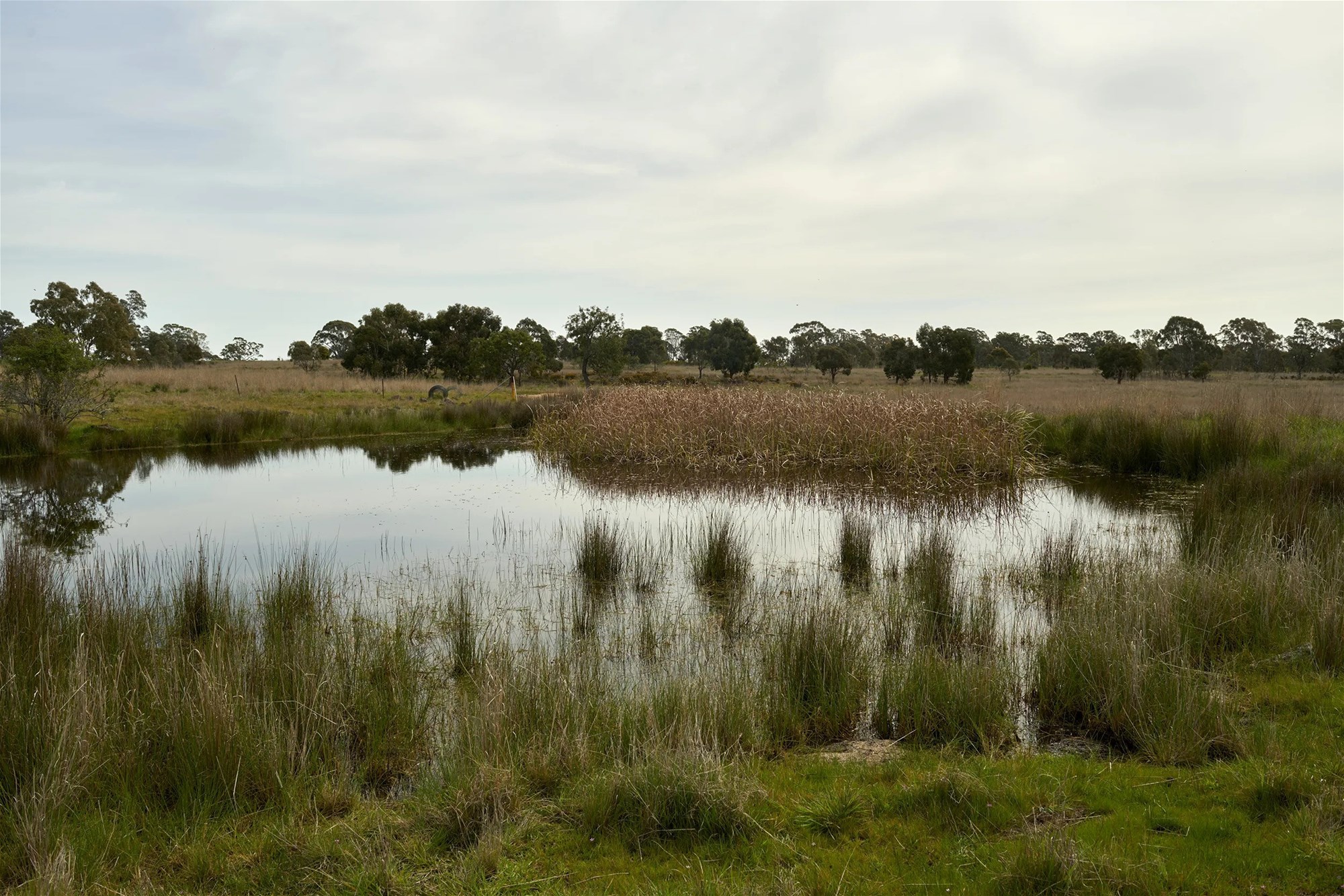 Glenhope For Sale by Farmbuy.com - image 18