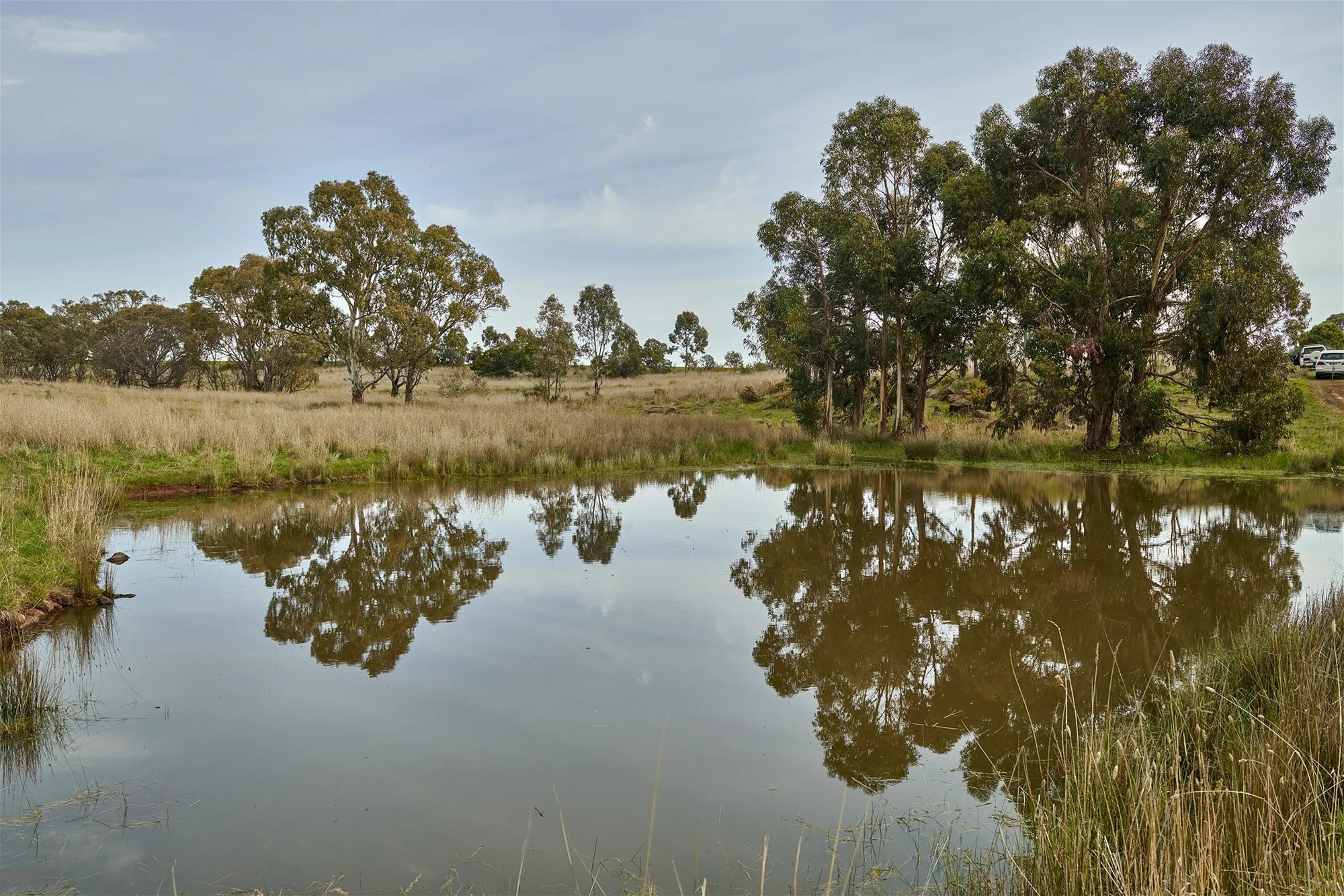 Glenhope For Sale by Farmbuy.com - image 19