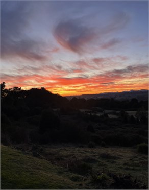 17 Sweetmans Road, Yolla For Sale by Farmbuy.com - image 6