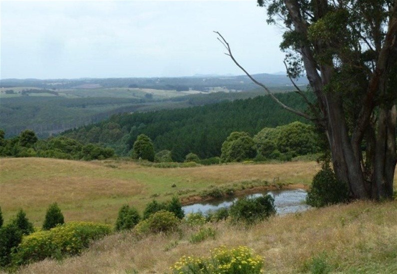 17 Sweetmans Road, Yolla For Sale by Farmbuy.com - image 12