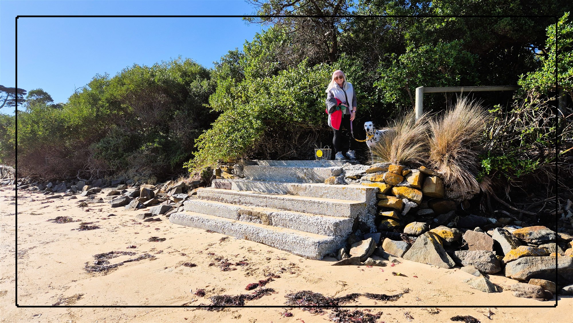 15 &amp; 16 LAGOON BEACH ROAD, Low Head For Sale by Farmbuy.com - image 27