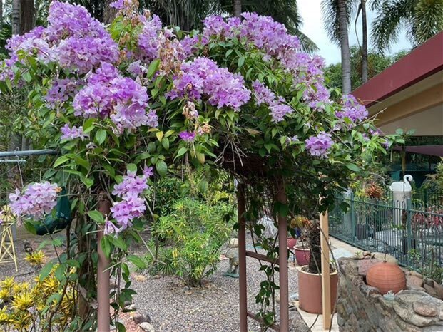 29 Rupertswood Drive, Alice River For Sale by Farmbuy.com - image 29