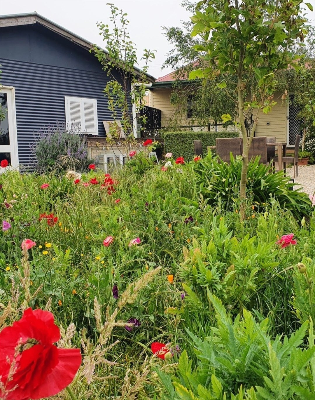 1219 BALLARAT DAYLESFORD Road, Dean For Sale by Farmbuy.com - image 20