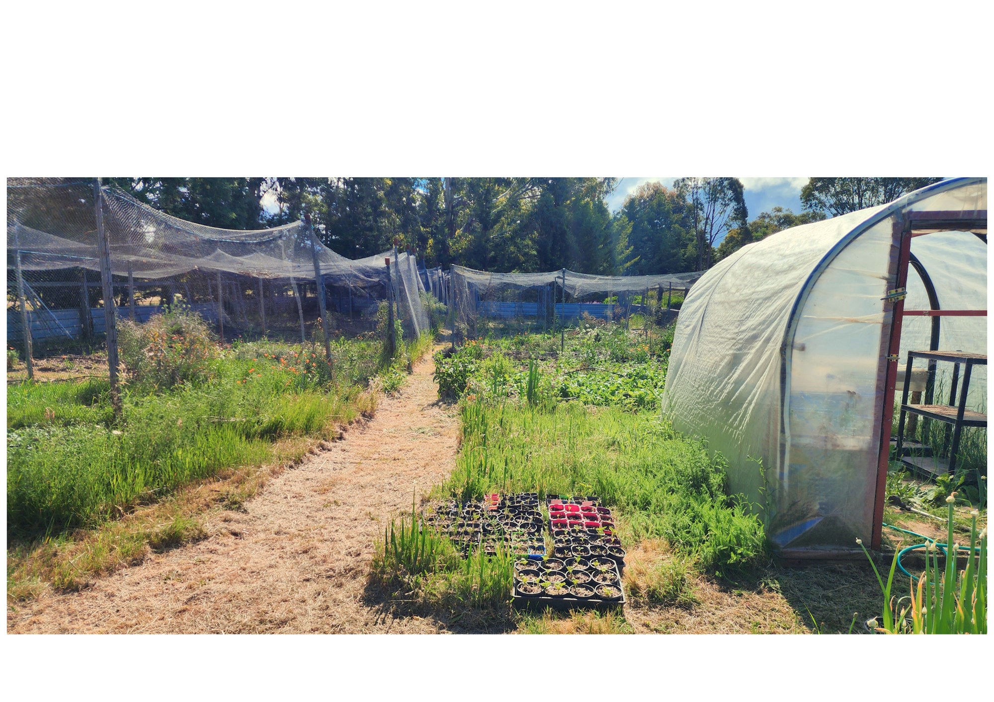 71 Thornhill Lane, Elphinstone For Sale by Farmbuy.com - image 14