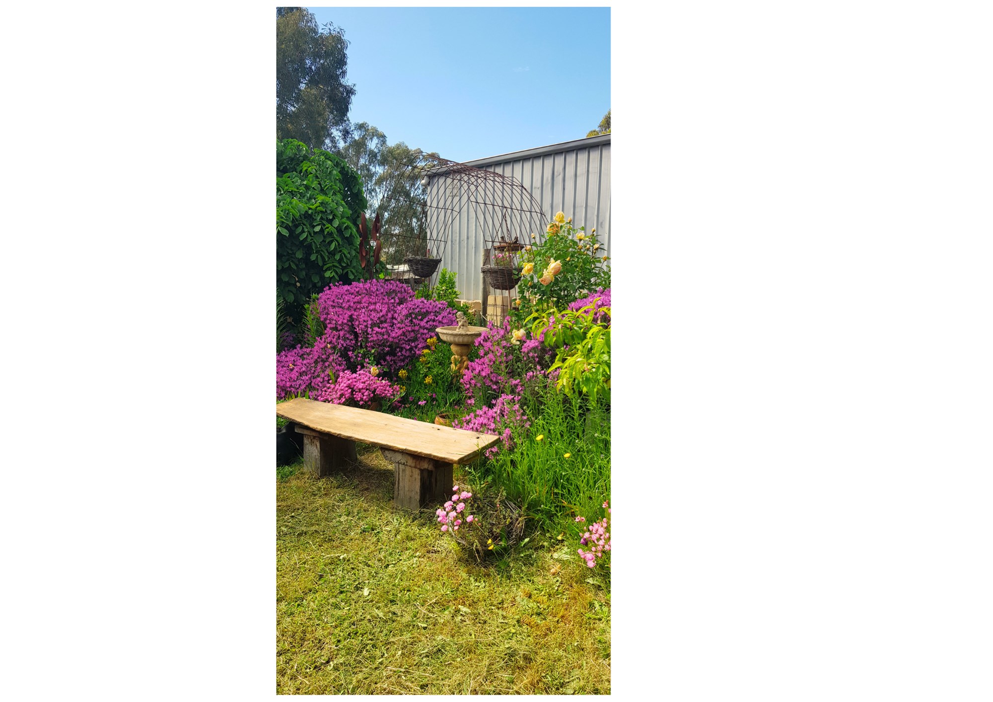 71 Thornhill Lane, Elphinstone For Sale by Farmbuy.com - image 18