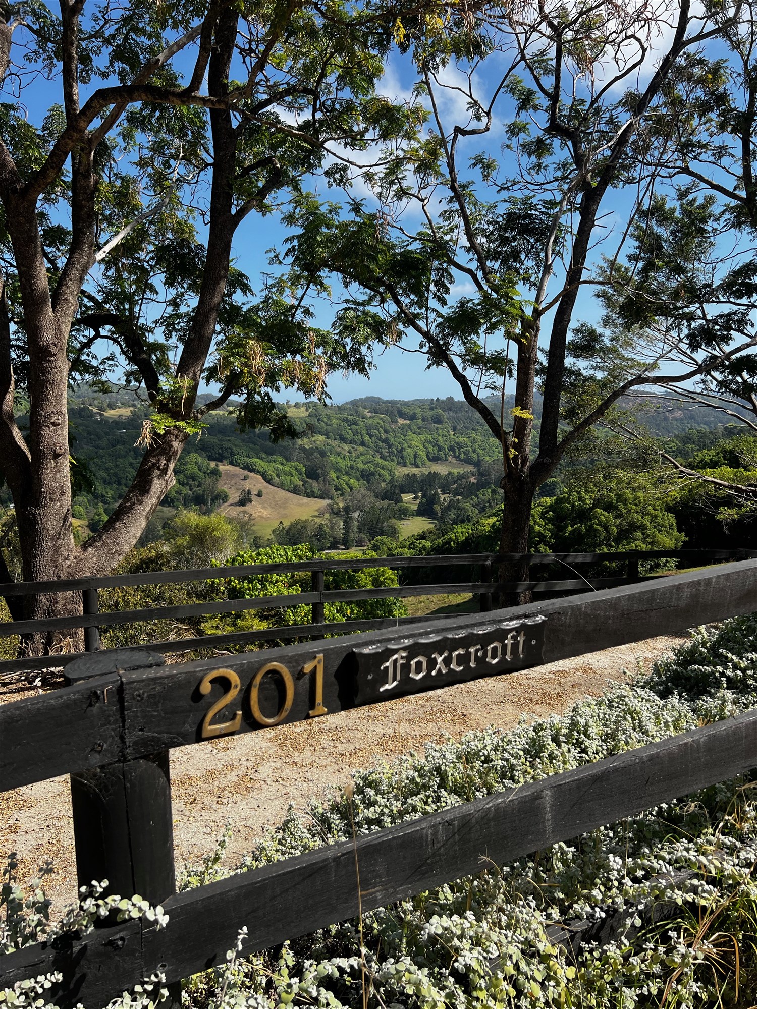 201 Carool Rd, Bilambil For Sale by Farmbuy.com - image 19