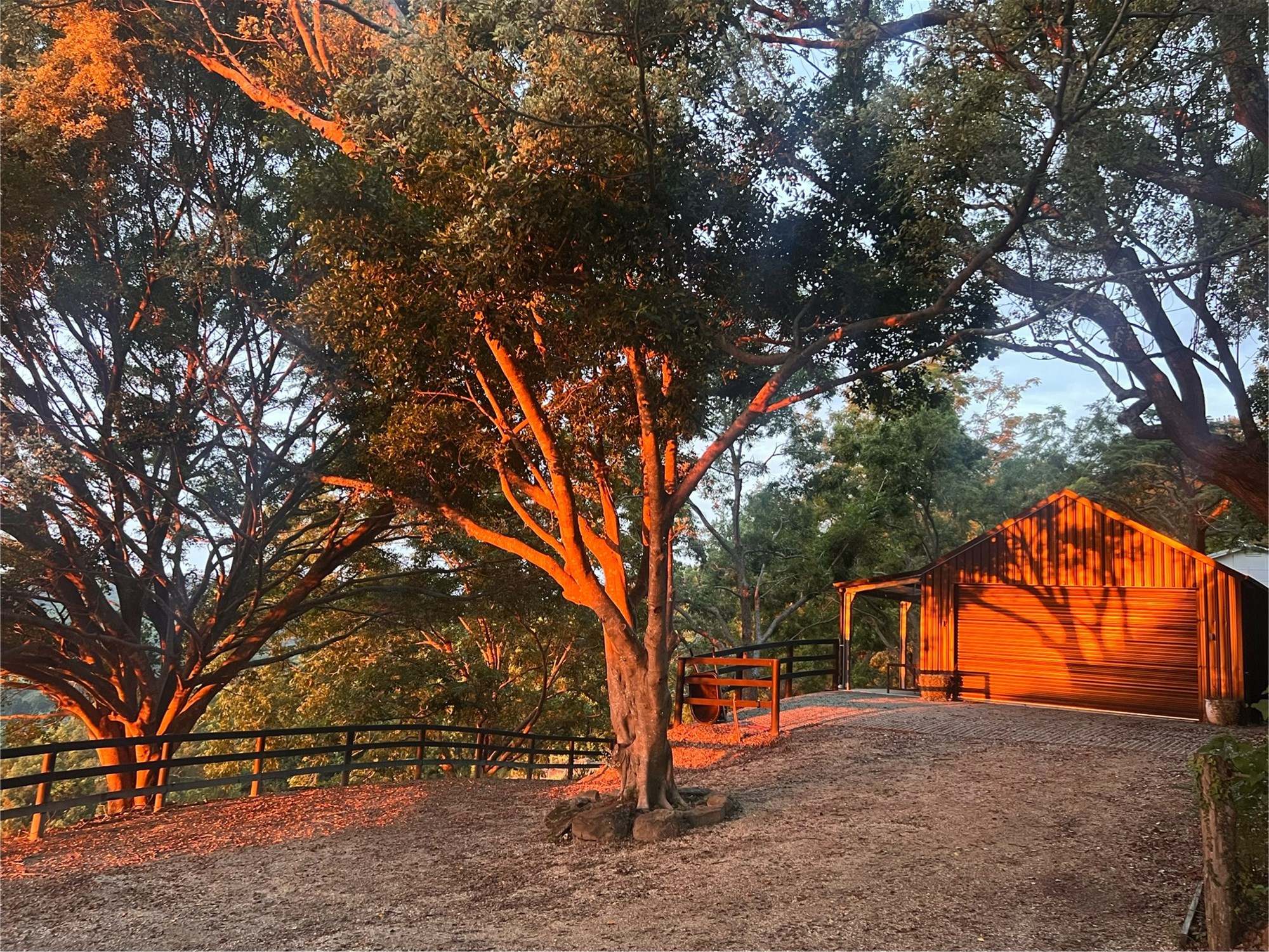 201 Carool Rd, Bilambil For Sale by Farmbuy.com - image 21