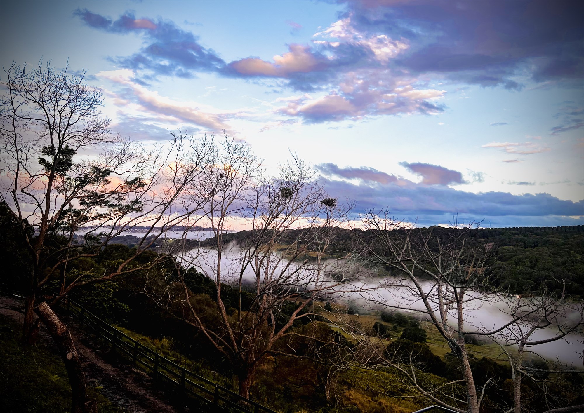 201 Carool Rd, Bilambil For Sale by Farmbuy.com - image 29