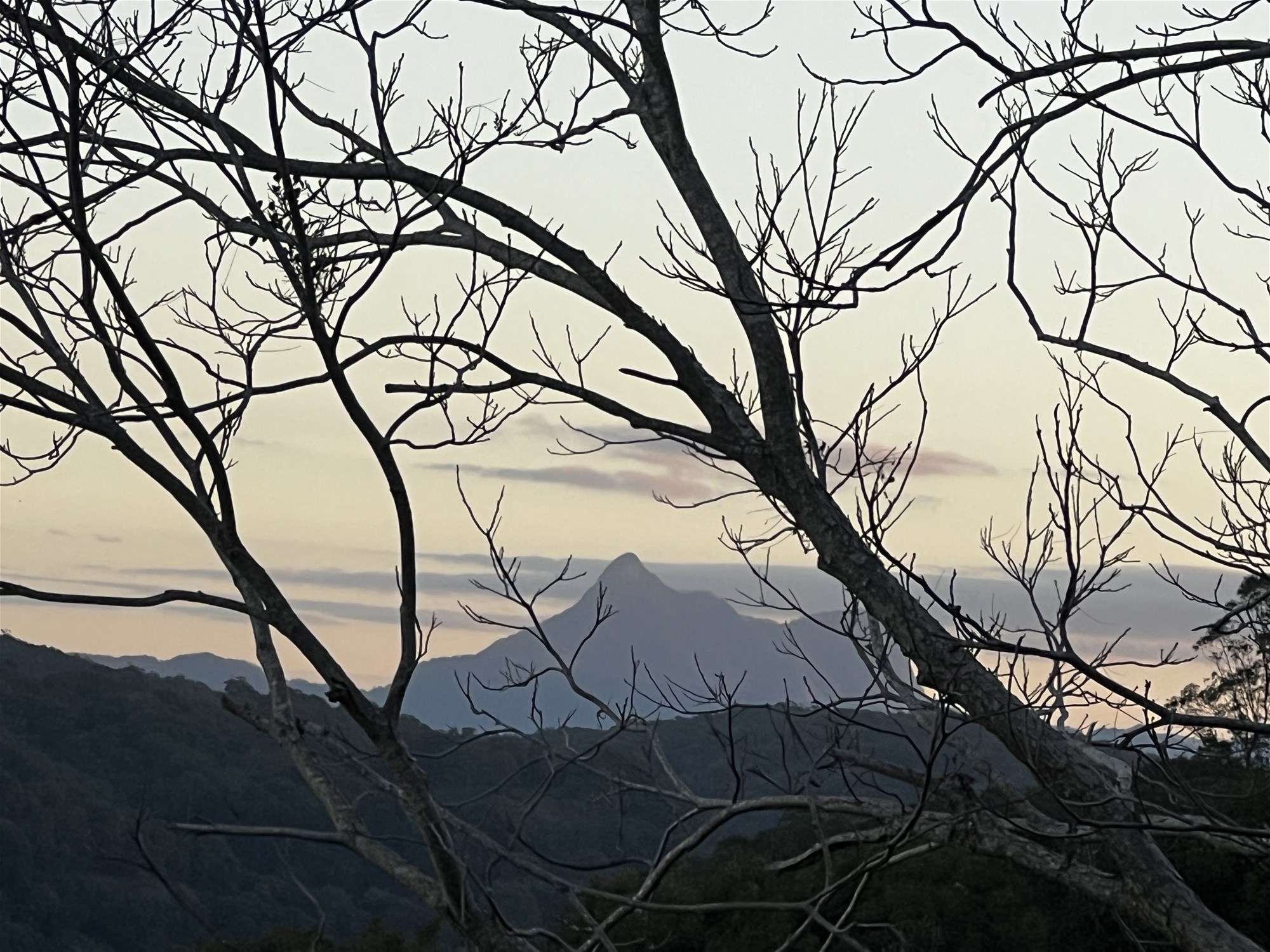 201 Carool Rd, Bilambil For Sale by Farmbuy.com - image 30